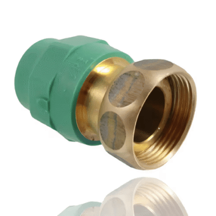 Banninger PPR Female Union, 20MM X 1/2"